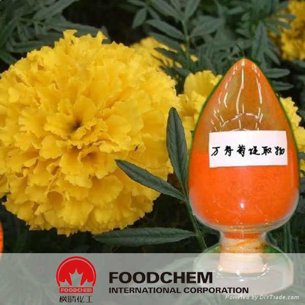 Marigold Extract