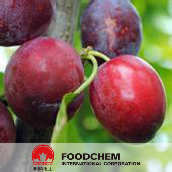 Plum Polyphenols