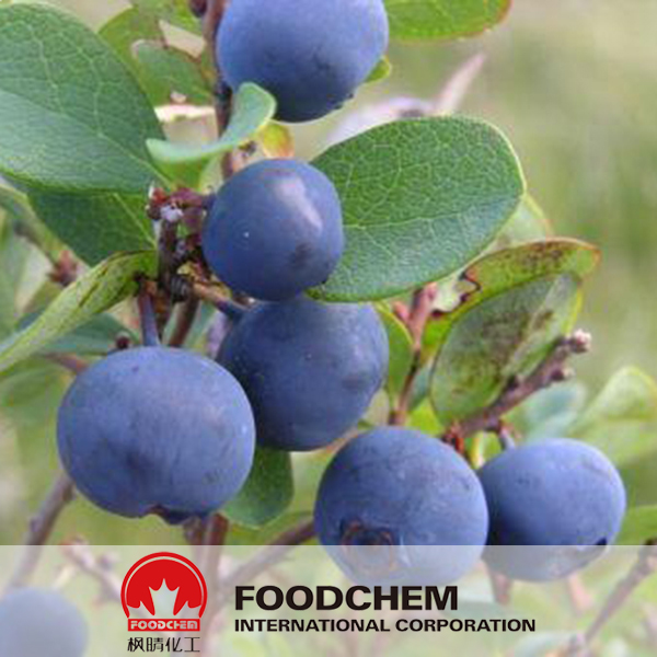 Bilberry Anthocyanins